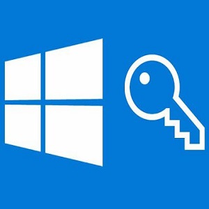 Dumping & Cracking Windows Domain Hashes